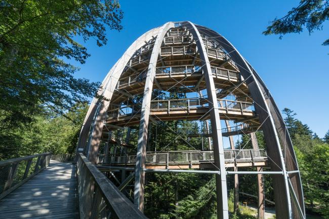 Baumwipfelpfad Neuschönau im Bayerischen Wald